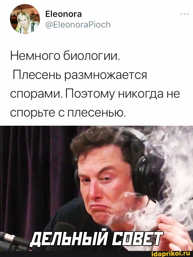 Ееопога
@ЕеопогаРюсп
Немного биологии.
Плесень размножается спорами. Поэтому никогда не спорьте с плесенью.
ДЕЛЬНЫЙ СОВЕТ