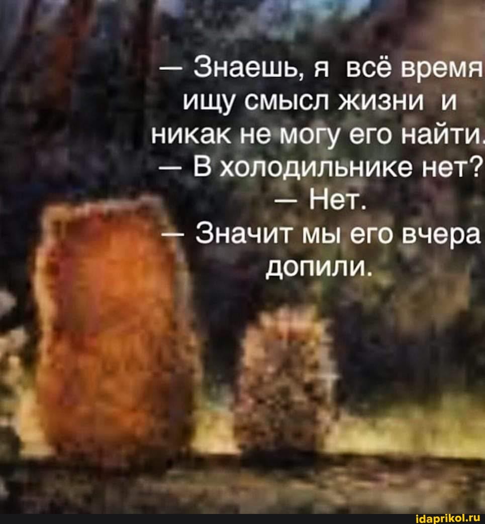 - Знаешь. я всё время ищу смысл жизни и никак не могу его найти.
- В холодильнике нет?
- Нет.
- Значит мы его вчера допили.