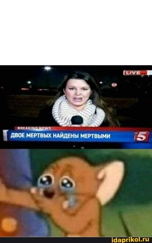 ДВОЕ МЕРТВЫХ НАЙДЕНЫ МЕРТВЫМИ 745