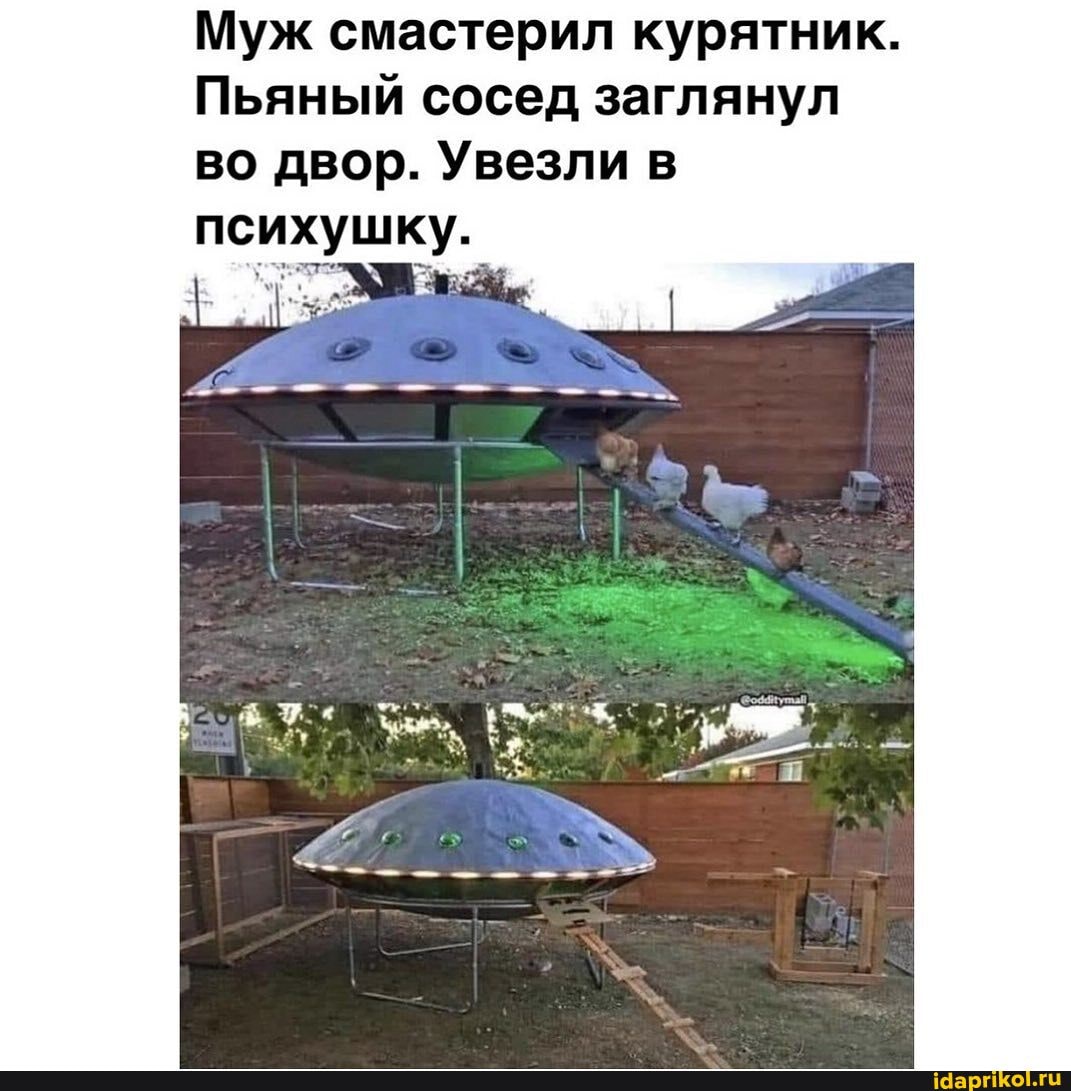 Муж смастерил курятник.
Пьяный сосед заглянул во двор. Увезли в психушку.