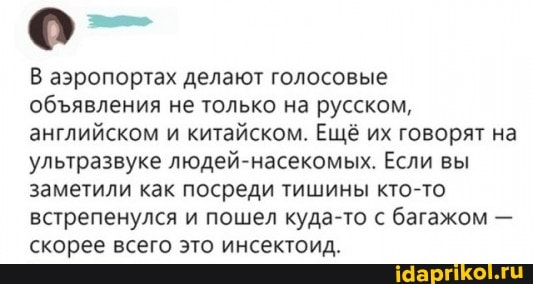 В аэропортах делают голосовые обявления не только на русском, английском и китайском. Ещё их говорят на ультразвуке людей-насекомых. Если вы заметили как посреди тишины кто-то встрепенулся и пошел куда-то с багажом - скорее всего это инсектоид.