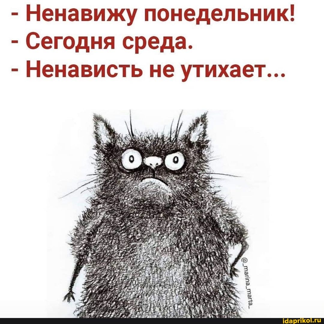 - Ненавижу понедельник!
- Сегодня среда.
- Ненависть не утихает...
теме!