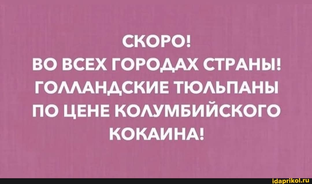 СКОРО!
ВО ВСЕХ ГОРОДАХ СТРАНЫ!
ГОЛЛАНДСКИЕ ТЮЛЬПАНЫ ПО ЦЕНЕ КОЛУМБИЙСКОГО КОКАИНА!