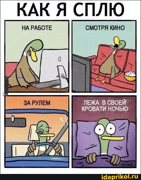 КАК Я СПЛЮ
НА РАБОТЕ СМОТРЯ КИНО
.В СВОЕЙ,
'НОЧЬЮ