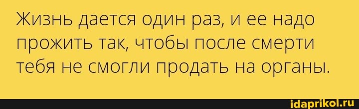 Жизнь дается один раз, и ее надо прожить так, чтобы после смерти тебя не смогли продать на органы.