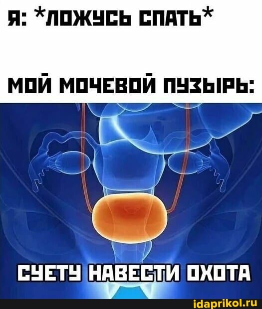 Я: *ЛОЖУСЬ СПАТЬ*
МОЙ МОЧЕВОЙ ПУЗЫРЬ:
СЧЕТУ НАВЕСТИ ОХОТА