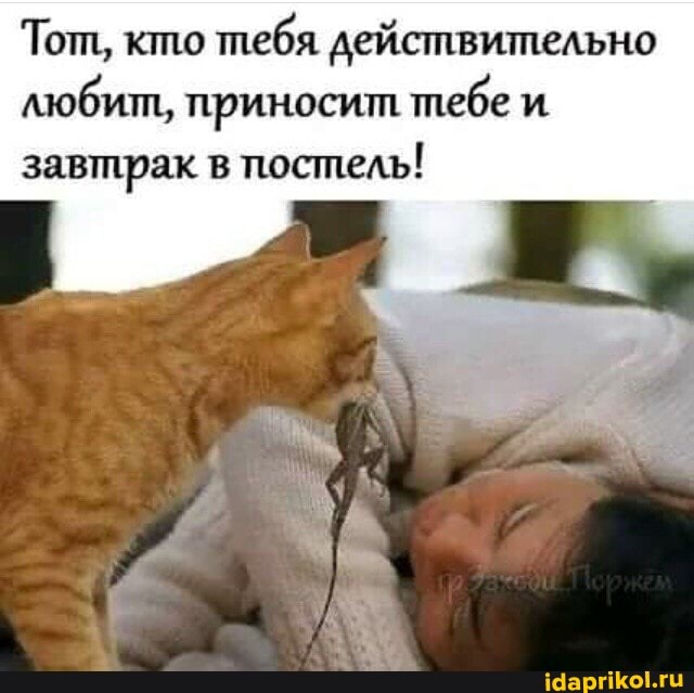 Тот, кто тебя действительно любит, приносит тебе и.
завтрак в постель!