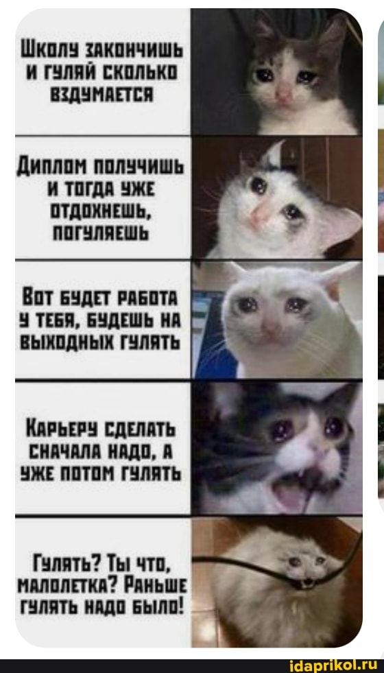 ШКОЛУ ЗАКОНЧИШЬ И ГУЛЯЙ СКОЛЬКО ВЗДУМАЕТСЯ
Диплом получишь
И ТОГДА ЧЖЕ ОТДОХНЕШЬ,
ПОГУЛЯЕШЬ
Вот БУДЕТ РАБОТА У ТЕБЯ, БУДЕШЬ НА
КАРЬЕРУ СДЕЛАТЬ СНАЧАЛА НАДО, А УЖЕ ПОТОМ ГУЛЯТЬ
Гулять? Ты что,
МАЛОЛЕТКА? РАНЬШЕ ГУЛЯТЬ НАДО БЫЛО!