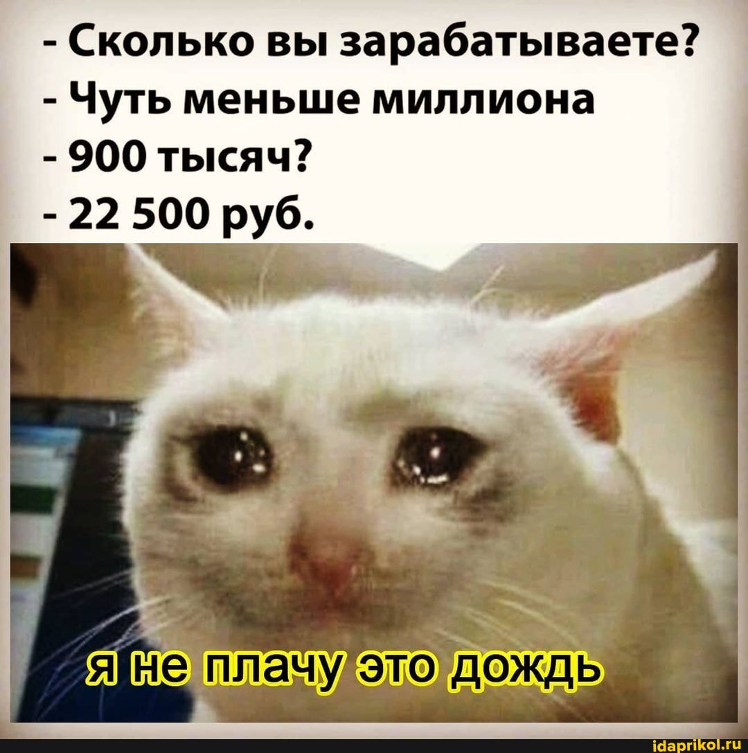 - Сколько вы зарабатываете?
- Чуть меньше миллиона
- 900 тысяч?
- 22 500 руб.
плачу это дождь