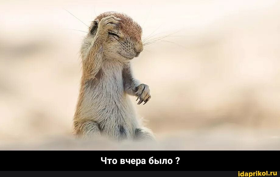Что вчера было ? - Что вчера было ?