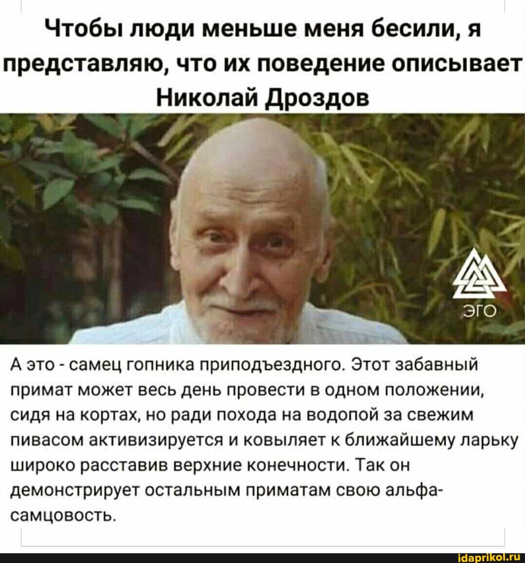Чтобы люди меньше меня бесили, я представляю, что их поведение описывает
Николай Дроздов
А это - самец гопника приподездного. Этот забавный примат может весь день провести в одном положении, сидя на кортах, но ради похода на водопой за свежим пивасом активизируется и ковыляет к ближайшему ларьку широко расставив верхние конечности. Так он демонстрирует остальным приматам свою альфа- самцовость.