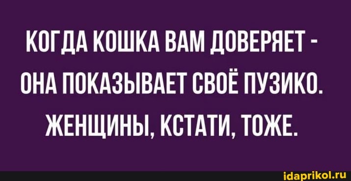 КОГДА КОШКА ВАМ ДОВЕРЯЕТ -
ОНА ПОКАЗЫВАЕТ СВОЁ ПУЗИКО.
ЖЕНЩИНЫ, КСТАТИ, ТОЖЕ.