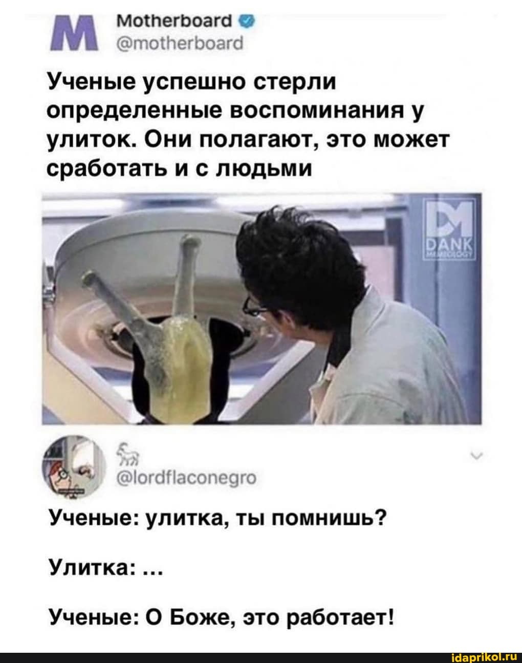 Ученые успешно стерли определенные воспоминания у улиток. Они полагают, это может сработать и ее людьми
@ог4Насопедго
Ученые: улитка, ты помнишь?
Улитка:
Ученые: О Боже, это работает!
