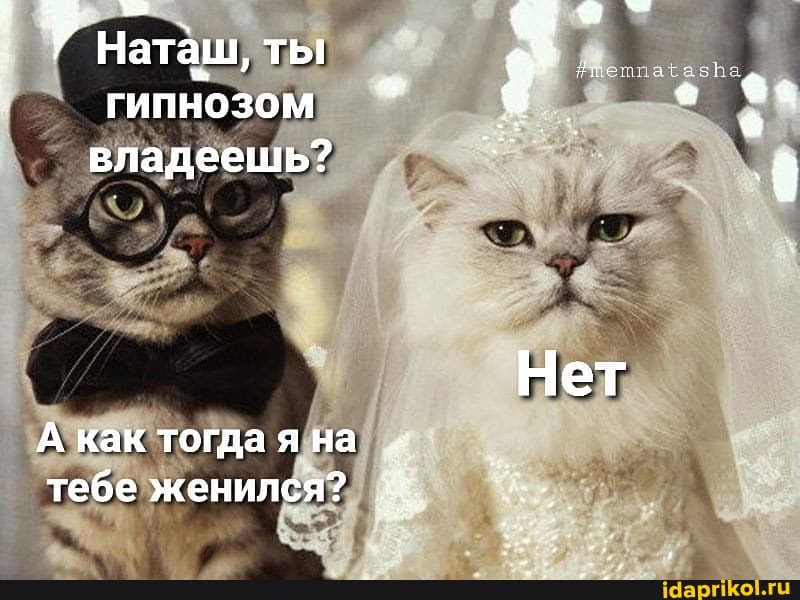 На-:
Наташ, ты гипнозом владеешь?
Нет
А как тогда я на тебе женился?