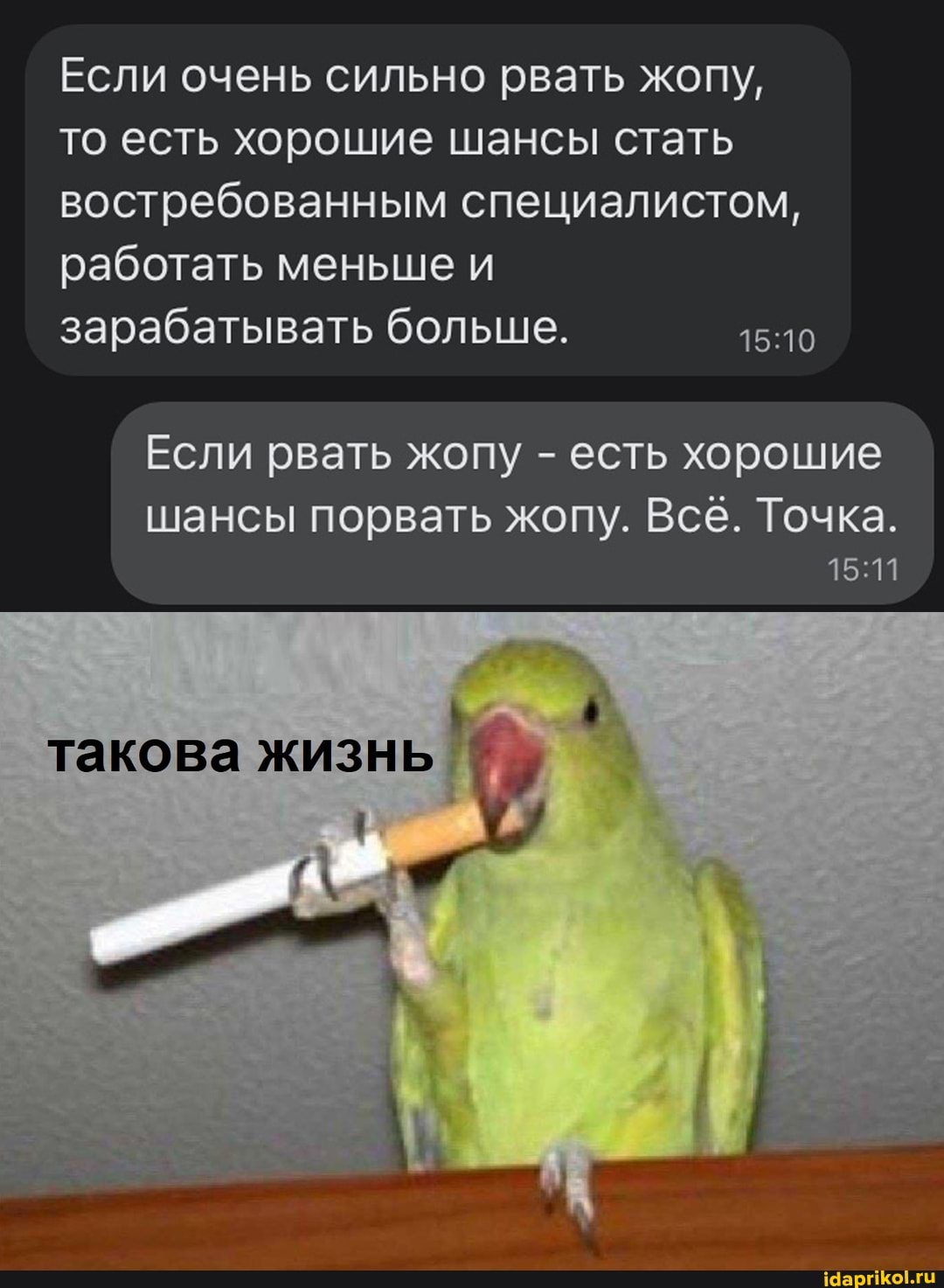 Если очень сильно рвать жопу, то есть хорошие шансы стать востребованным специалистом, работать меньше и зарабатывать больше.
Если рвать жопу - есть хорошие
шансы порвать жопу. Все. Точка.
такова жизнь