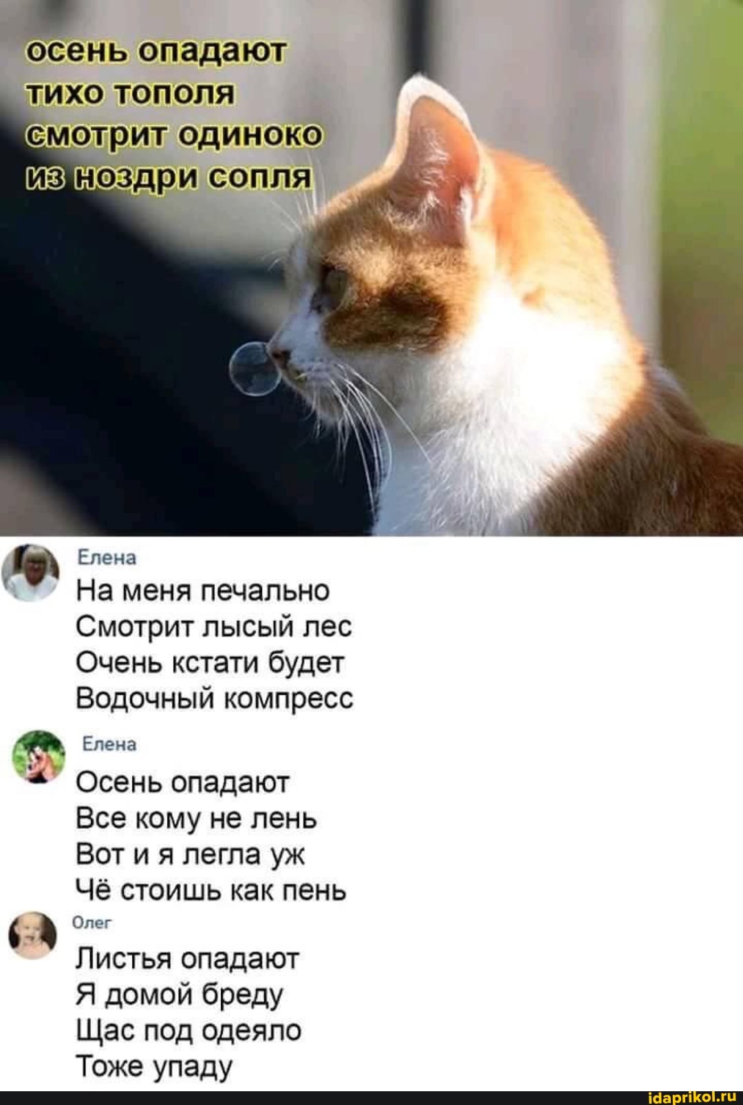 осень опадают тихо тополя
Смотрит одиноко
Изноздри сопля
Елена
На меня печально
Смотрит лысый лес
Очень кстати будет
Водочный компресс
Елена
Осень опадают
Все кому не лень
Вот и я легла уж
Чё стоишь как пень
. Олег
Листья опадают
Я домой бреду
Щас под одеяло
Тоже упаду