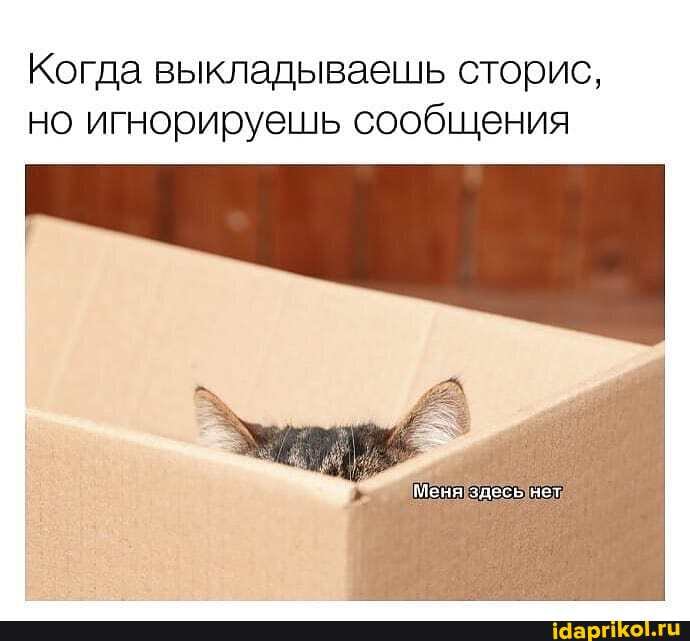 Когда выкладываешь сторис,
но игнорируешь сообщения