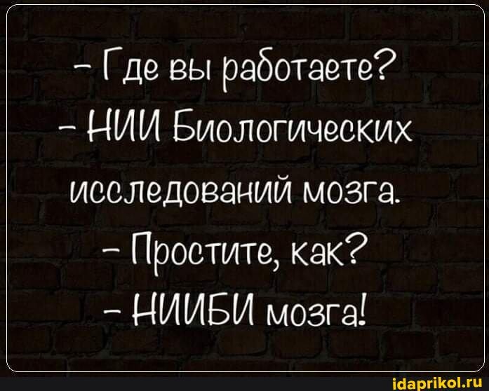 - Где вы работаете?
НИИ Биологических исследований мозга.
Простите, как?
НИИБИ мозга!