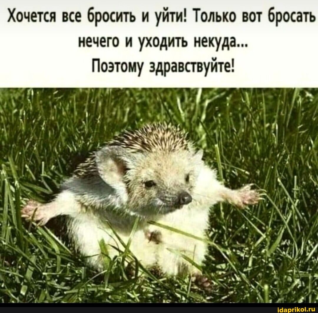 Хочется все бросить и уйти! Только вот бросать нечего и уходить некуда...
Поэтому здравствуйте!