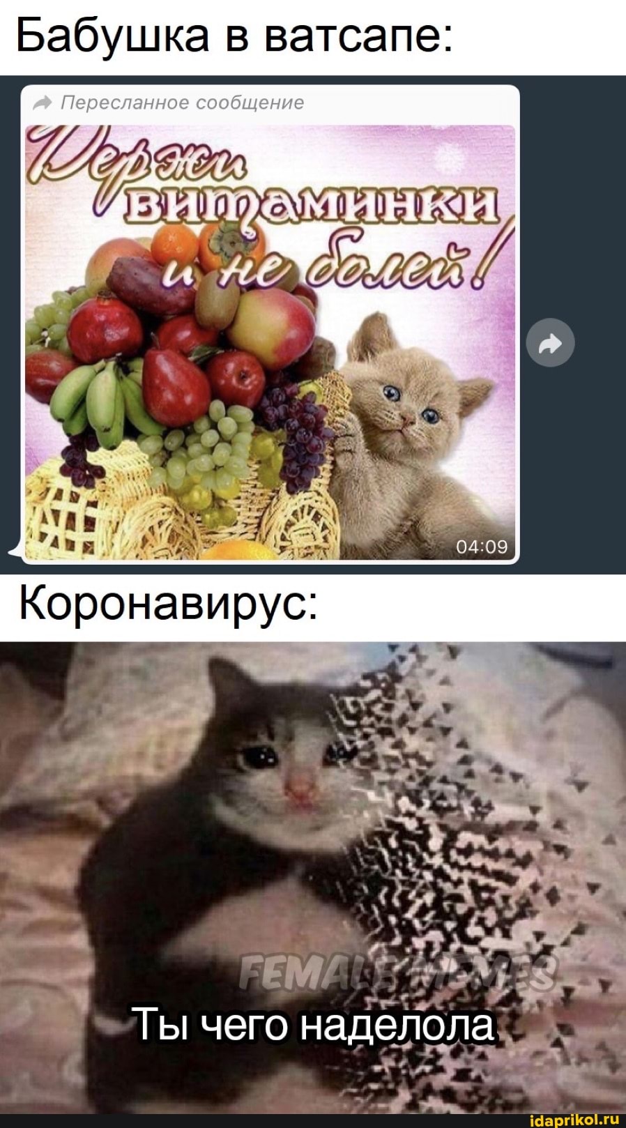 Бабушка в ватсапе: