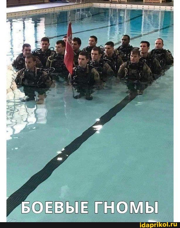 БОЕВЫЕ ГНОМЫ