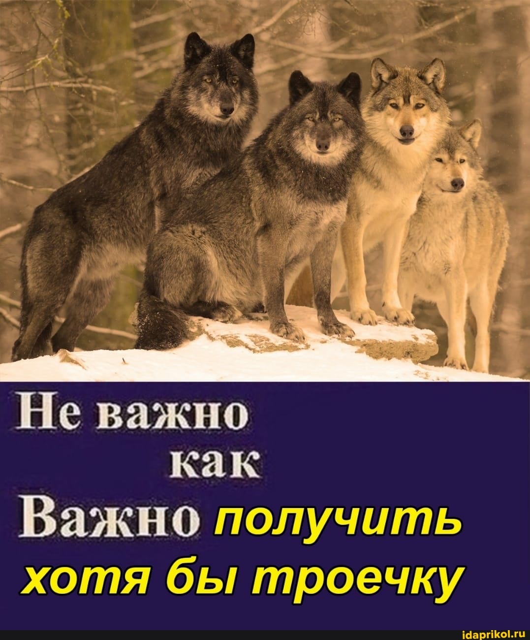 Не важно как
Важно получить хотя бы троечку
