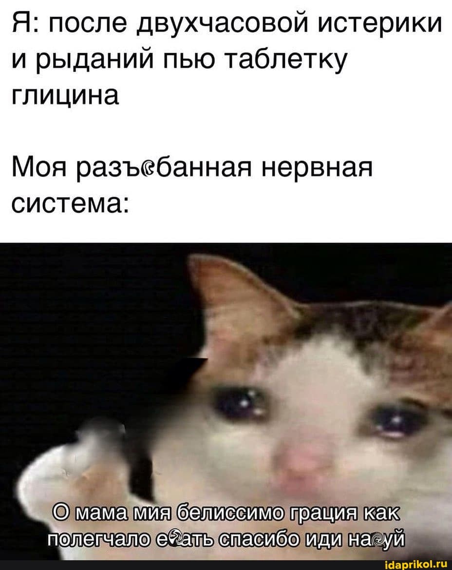 Я: после двухчасовой истерики
и рыданий пью таблетку глицина
Моя разеебанная нервная система:
О мама мия белиссимо грация как полегчало ехать спасибо иди на-уй