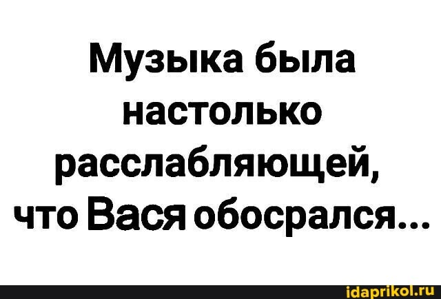 Музыка была настолько расслабляющей, что Вася обосрался...