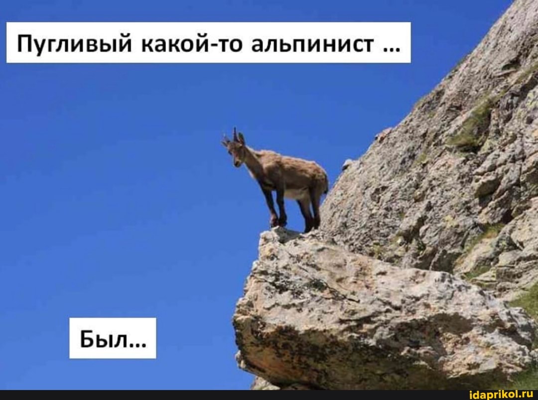 Пугливый какой-то альпинист
Был...