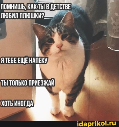 ПОМНИШЬ: КАК ТЫ В ДЕТСТВЕ ЛЮБИЛ ПЛЮШКИ?
Я ТЕБЕ ЕЩЕ НАПЕКУ
ТЫ ТОЛЬКО ПРИЕЗЖАХ
ХОТЬ иНСГДА,