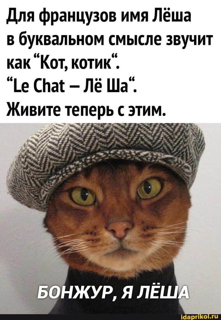 Для французов имя Лёша
в буквальном смысле звучит как "Кот, котик".
"Ге - Лё Ша".
Живите теперь с этим.
БОНЖУР, ЛЕША