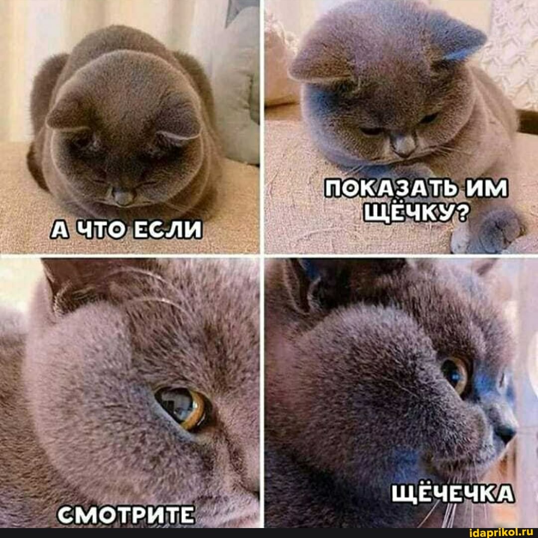 ПОКАЗАТЬ ИМ ЩЕЧКУ?
ЧТО ЕСЛИ
ЩЕЧЕЧКА СМОТРИТЕ