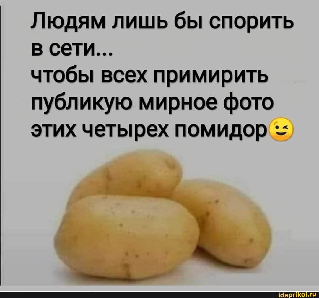 Людям лишь бы спорить в сети...
чтобы всех примирить публикую мирное фото этих четырех помидор