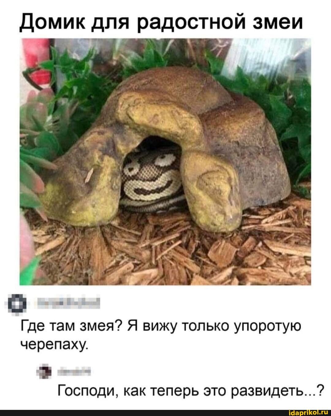 Домик для радостной змеи
Где там змея? Я вижу только упоротую черепаху.
Господи, как теперь это развидеть...?