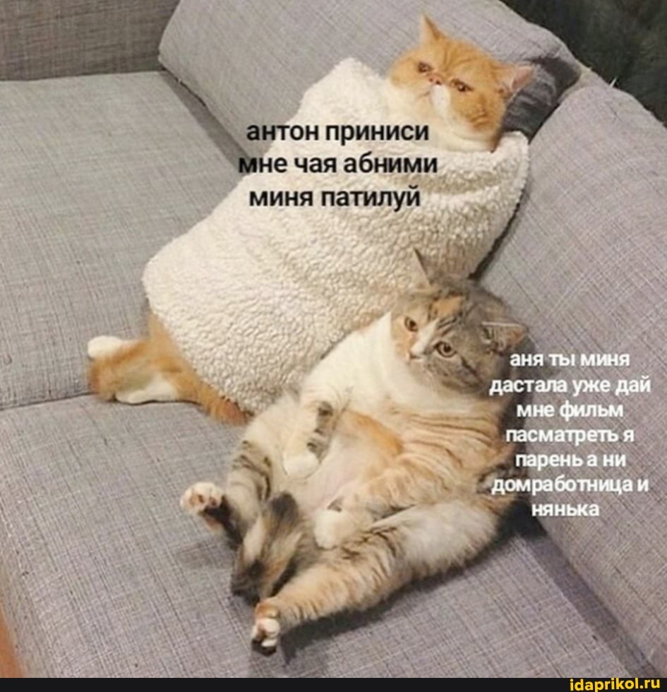 антон приниси
не чая абними
миня патилуй
эня ть миня зиталл уже дай мне фильм матретья гареньа ни дигаработницаи нянька
