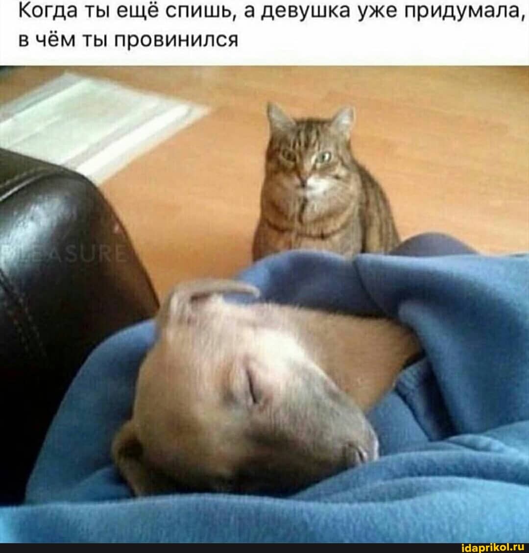 Когда ты ещё спишь, а девушка уже придумала, в чём ты провинился