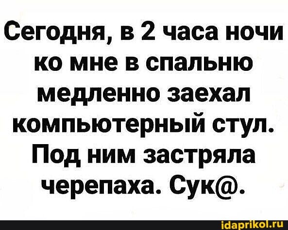 Сегодня, в 2 часа ночи ко мне в спальню медленно заехал
компьютерный стул.
Под ним застряла черепаха. Сук@.