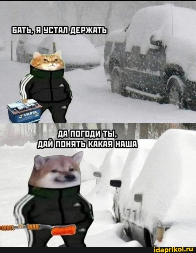 БАТЫ. Я ДЕРЖАТЬ
ДА ПОГОДИ ТЬ!
ДАЙ ПОЧЯТЕ, КАКАЯ НАШР