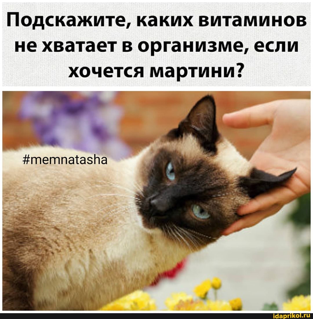 Подскажите, каких витаминов не хватает в организме, если хочется мартини?
#тетпатазпа