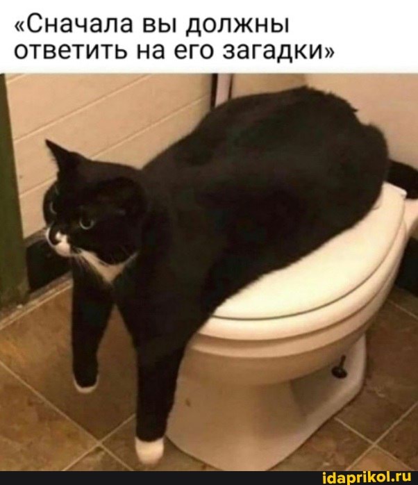 "Сначала вы должны ответить на его загадки"