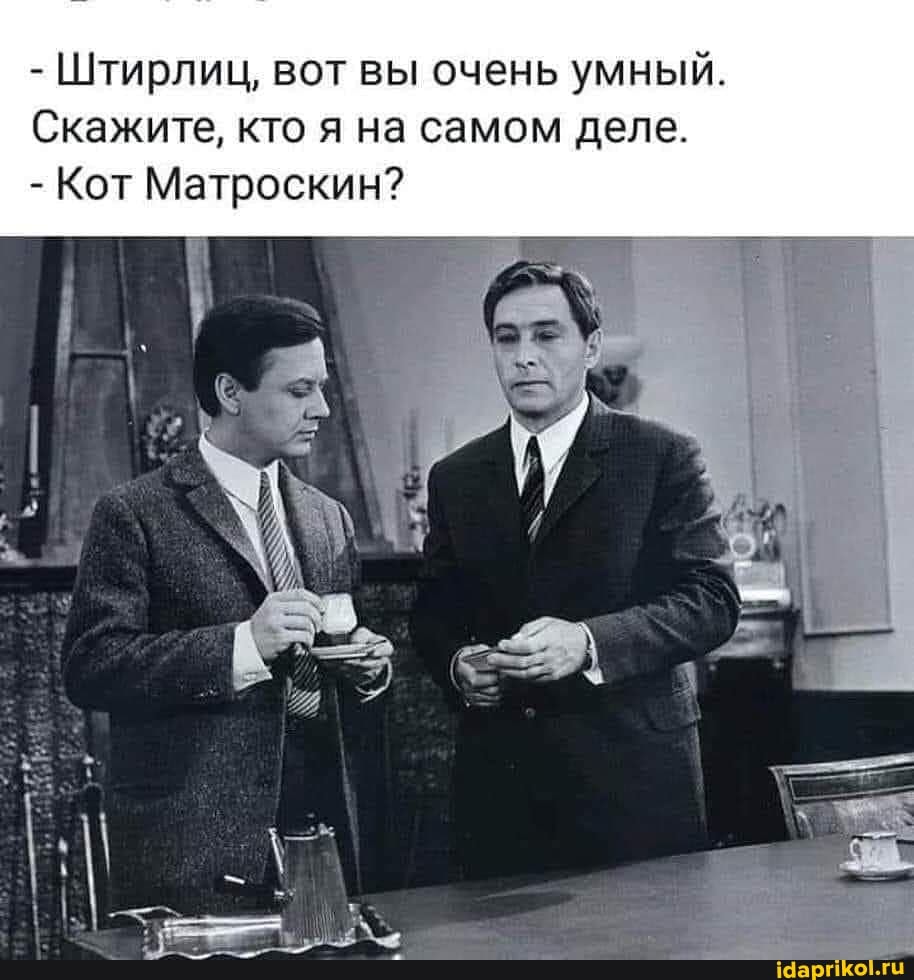 - Штирлиц, вот вы очень умный.
Скажите, кто я на самом деле.
- Кот Матроскин?
