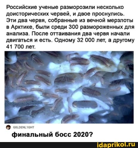 Российские ученые разморозили несколько доисторических червей, и двое проснулись.
Эти два червя, собранные из вечной мерзлоты в Арктике, были среди 300 размороженных для анализа. После оттаивания два червя начали
двигаться и есть. Одному 32 000 лет, а другому
41 700 лет.
финальный босс 2020?