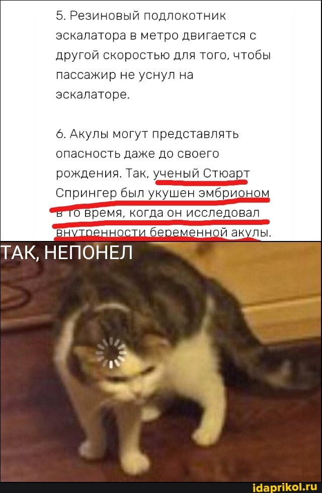 5. Резиновый подлокотник эскалатора в метро двигается с другой скоростью для того, чтобы пассажир не уснул на эскалаторе.
6. Акулы могут представлять опасность даже до своего
рождения. Так, ученый Стюарт
Спрингер был укушен эмбрионом ееТОвремя, когда он исследовал внутоенности беременной акулы.
ТАК, НЕПОНЕЛ