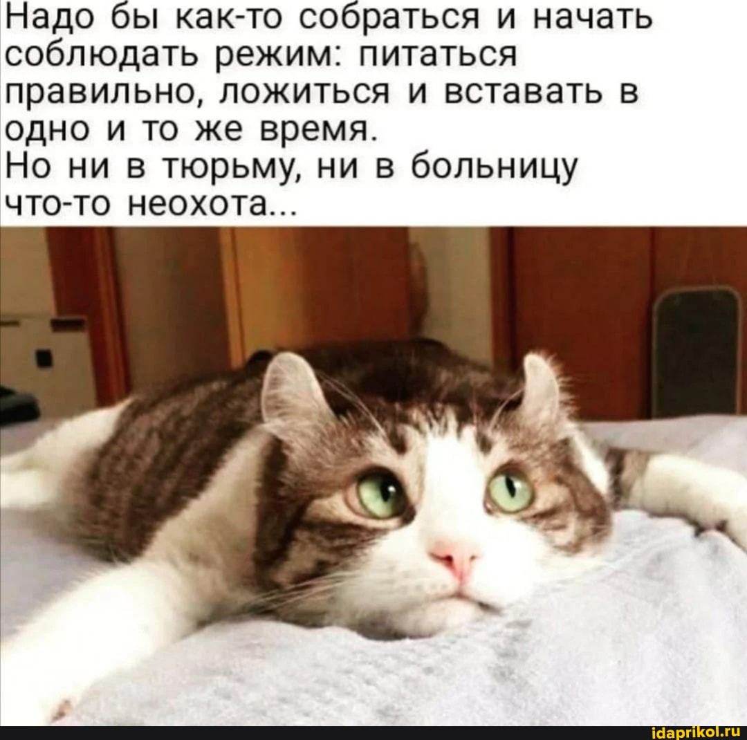 Надо бы как-то собраться и начать соблюдать режим: питаться правильно, ложиться и вставать в одно и то же время.
Но ни в тюрьму, ни в больницу что-то неохота...