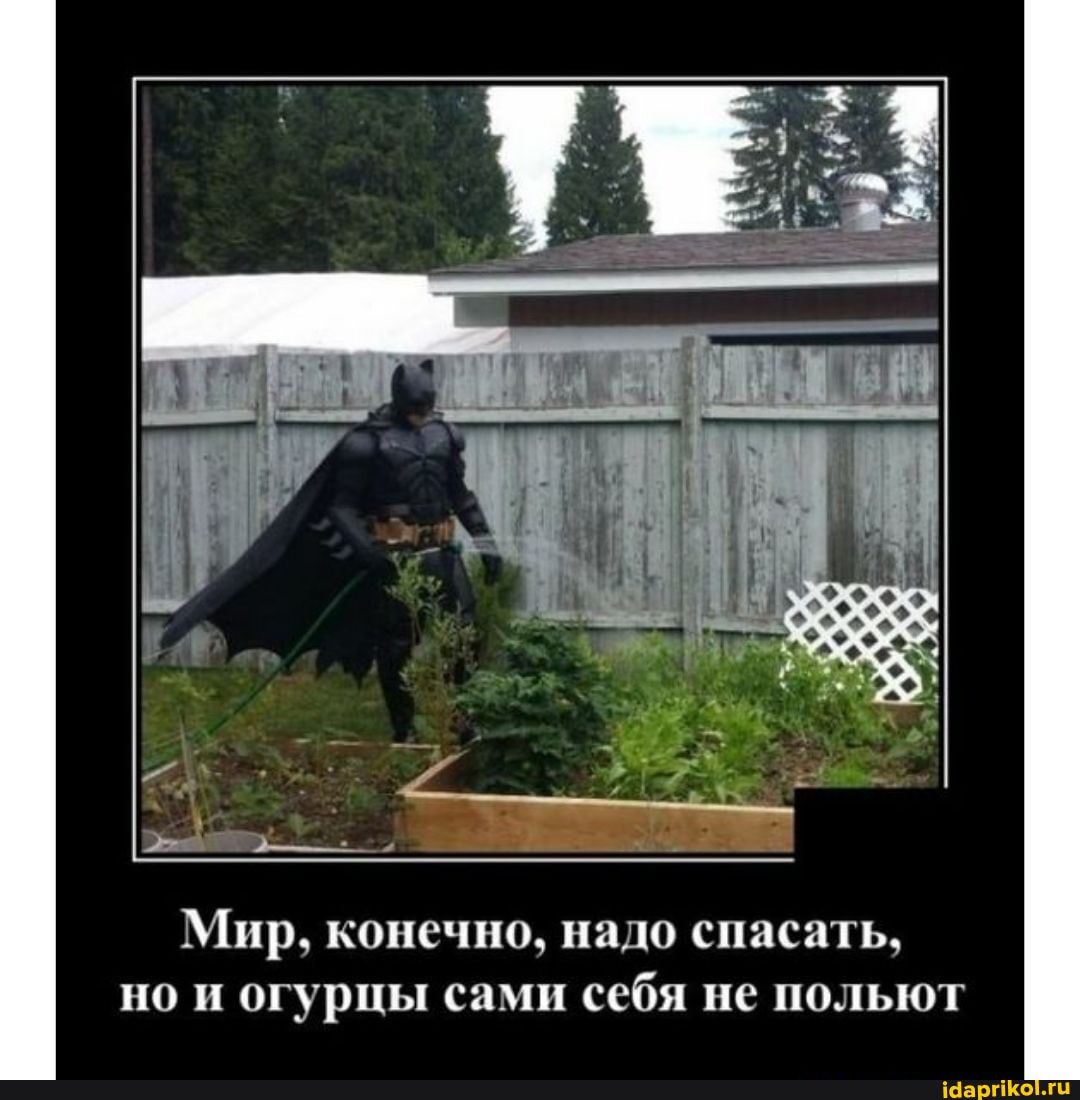 Мир, конечно, надо спасать, но и огурцы сами себя не польют