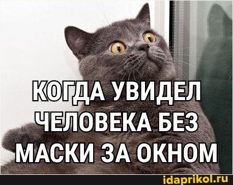 КОГДА УВИДЕЛ ЧЕЛОВЕКА БЕЗ МАСКИ ЗА ОКНОМ