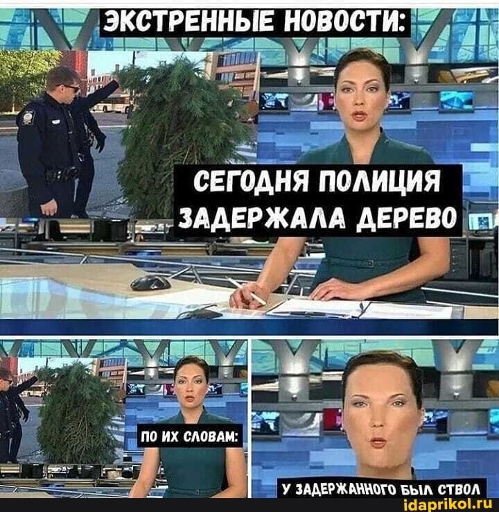 ЭКСТРЕННЫЕ
СЕГОДНЯ ПОЛИЦИЯ ЗА ИЗАДЕРЖАЛА ДЕРЕВО
ИХ СЛОВАМ:
- У ЗАДЕРЖАМВОТО БЫЛ СТВОЛ