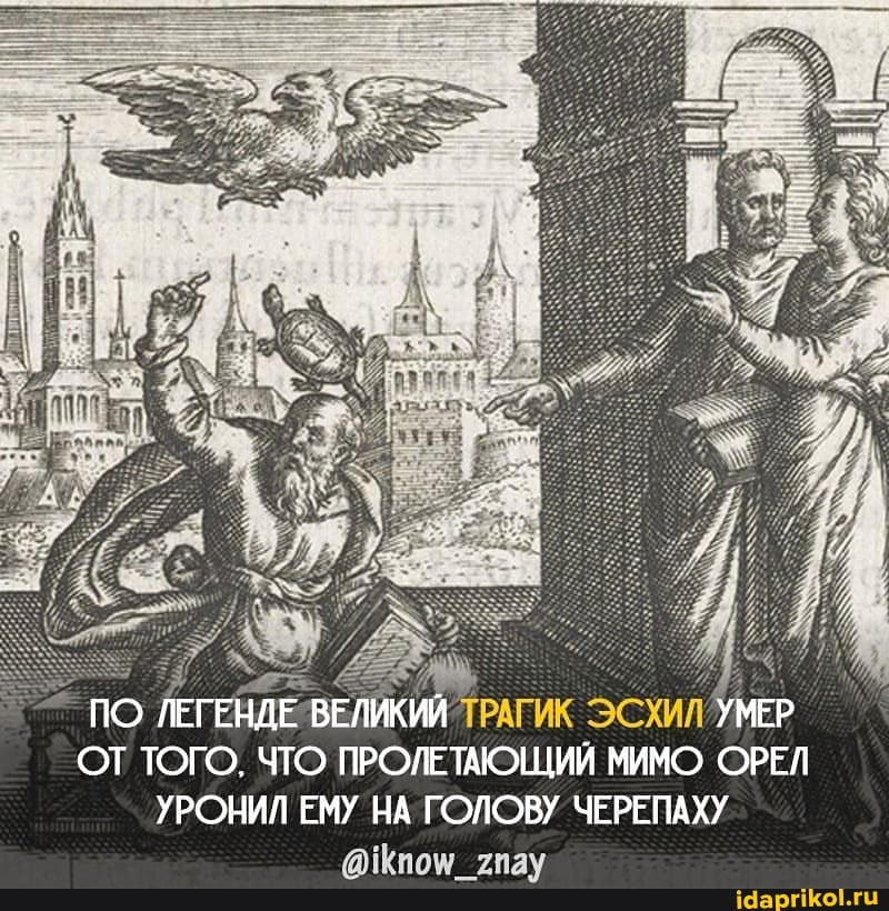 ПО ЛЕГЕНДЕ ВЕЛИКИЙ ТРАГИК ЭСХИЛ УМЕР ОТ ТОГО, ЧТО ПРОЛЕТАЮЩИЙ МИМО ОРЕЛ УРОНИЛ ЕМУ НА ГОЛОВУ ЧЕРЕПАХУ
Шилш