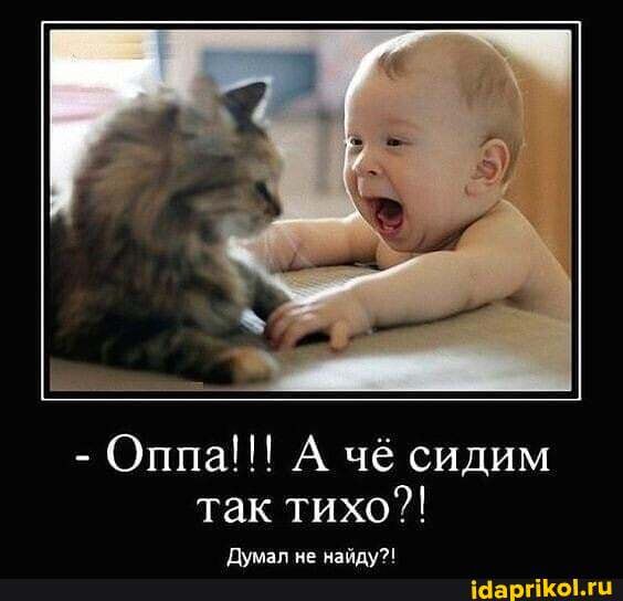 - Оппа!!! А чё сидим так тихо?!