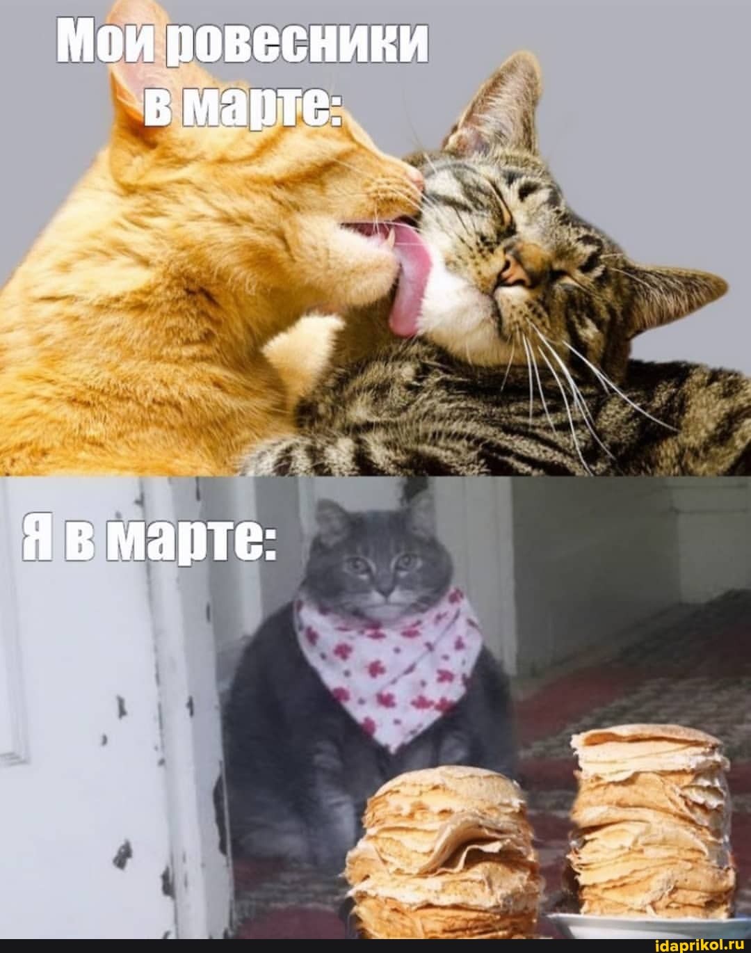 Мои ровесники марте:
Я в марте: